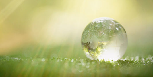 Giornata Mondiale Zero Emissioni