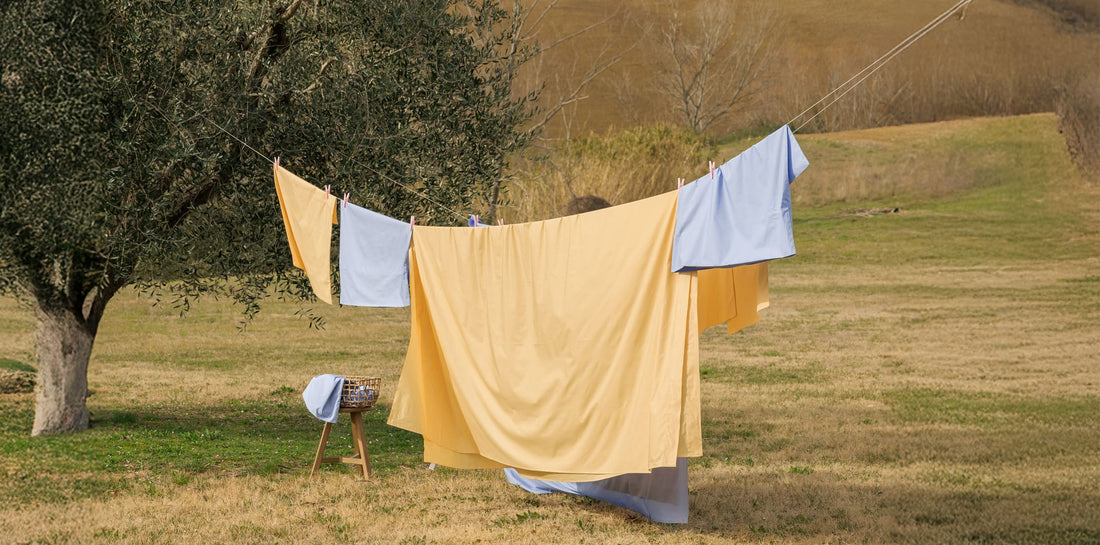 Radici Diverse, Stessi Valori: Come Dalfilo e R5 Living Coltivano un Futuro Sostenibile