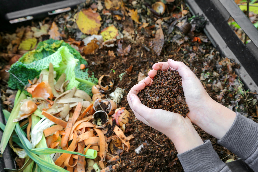 Biodegradabile e compostabile: quali sono le differenze