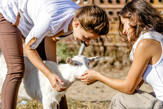 Il popolo degli elfi, storia di un ecovillaggio storico italiano