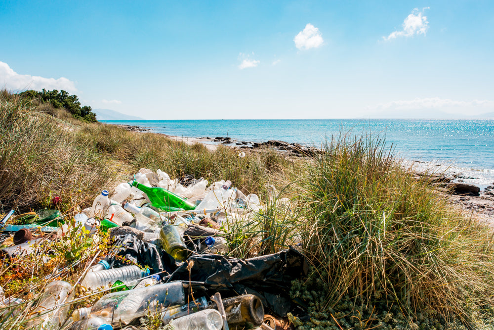 Inquinamento da plastica: le cause e come ridurlo