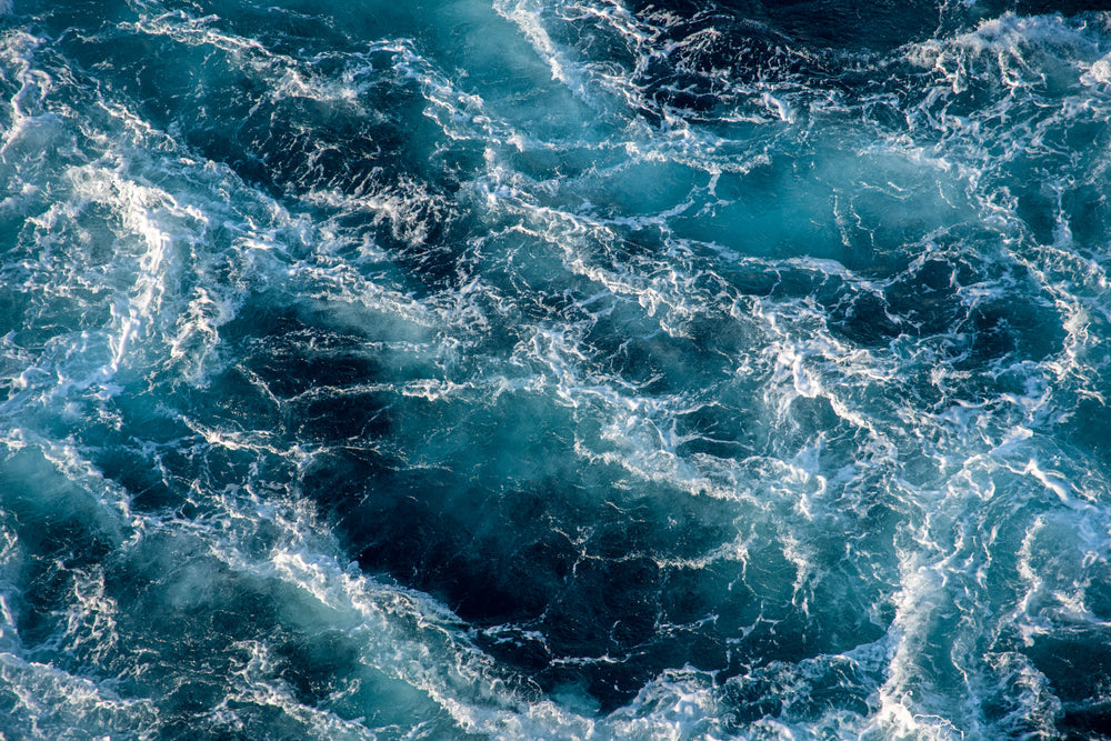 Agenda 2030: Obiettivo 14 per la conservazione degli oceani