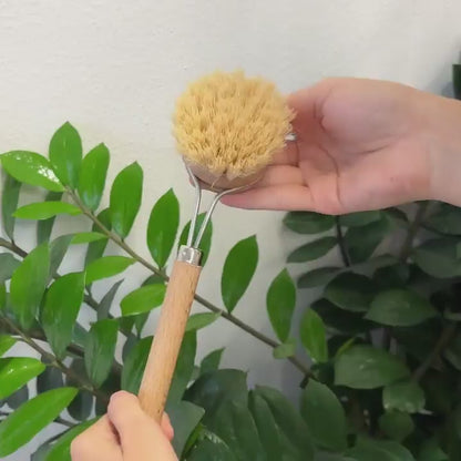 Replacement for Dish Brush - long handle