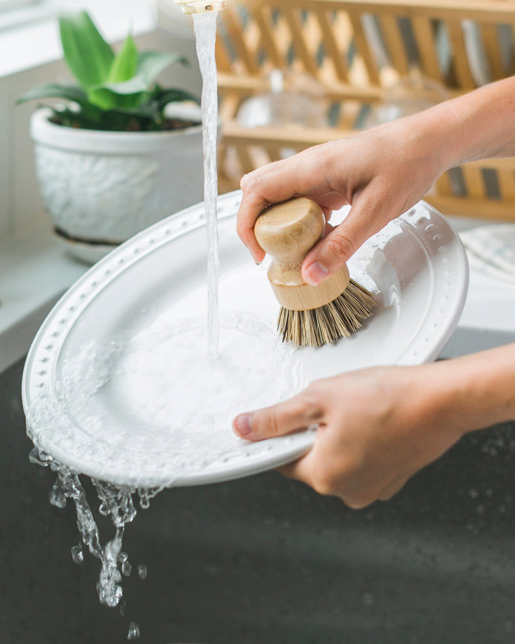 Brosse à vaisselle en fibres naturelles